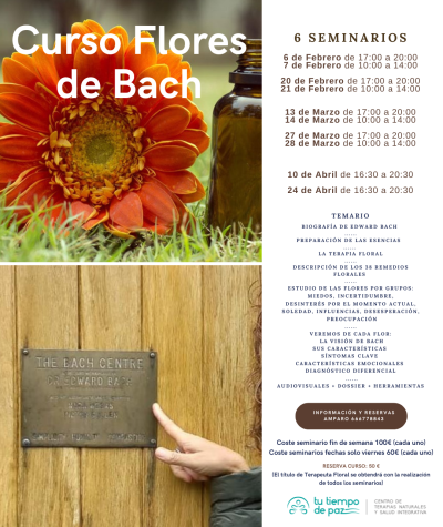 curso flores 2026 actualizado